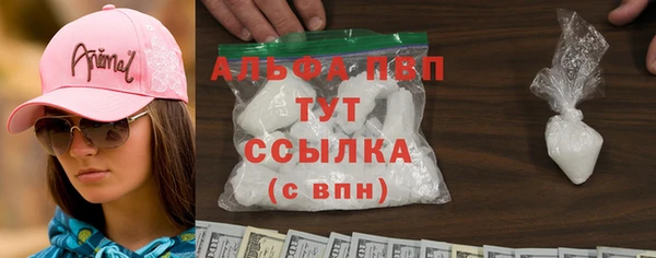 индика Армянск