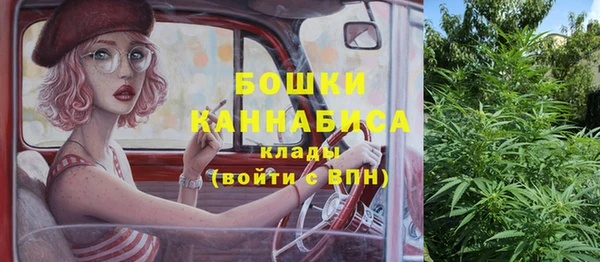 PSILOCYBIN Арсеньев