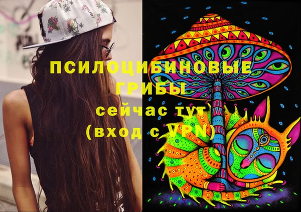 2c-b Аркадак
