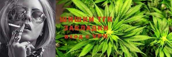 индика Армянск
