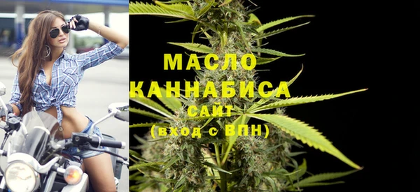 индика Армянск
