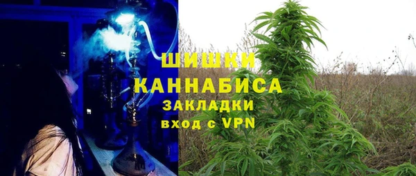 PSILOCYBIN Арсеньев