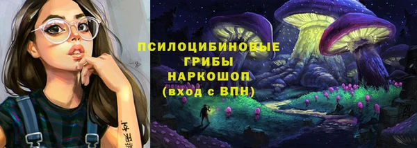 индика Армянск