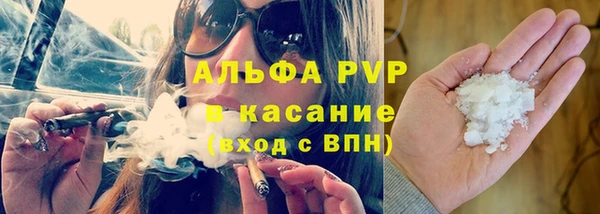 PSILOCYBIN Арсеньев