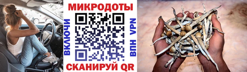 купить   Разумное  МЕГА как зайти  Псилоцибиновые грибы Psilocybine cubensis 